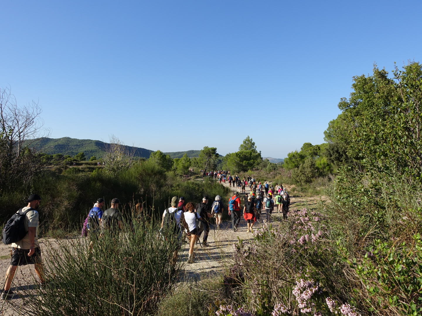 participants de la marxa de les persones de camí a Montserrat